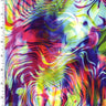 Printed Spandex Abstract Rainbow Tie-Dye