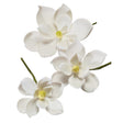 Magnolia Assortment Gum Paste Flowers - 12 per order