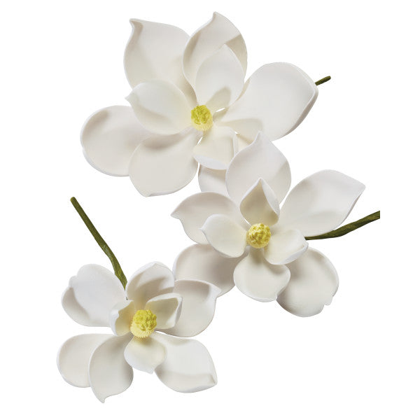 Magnolia Assortment Gum Paste Flowers - 12 per order