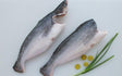 Headless Pangas Fish (Swai Fish)