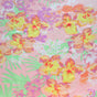 Swim Knit Nylon Lycra Pastel Spring Floral