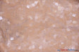 Dull Square Dazzle Polyester Fabric - Square Sequins, Sheer Mesh, 52" Width (1 Yard)