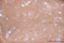 Dull Square Dazzle Polyester Fabric - Square Sequins, Sheer Mesh, 52" Width (1 Yard)