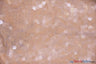 Dull Square Dazzle Polyester Fabric - Square Sequins, Sheer Mesh, 52" Width (1 Yard)
