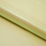 Iridescent Organza Fabric Pastel Colors