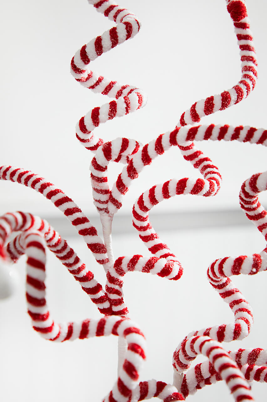 23” Peppermint Curly Spray