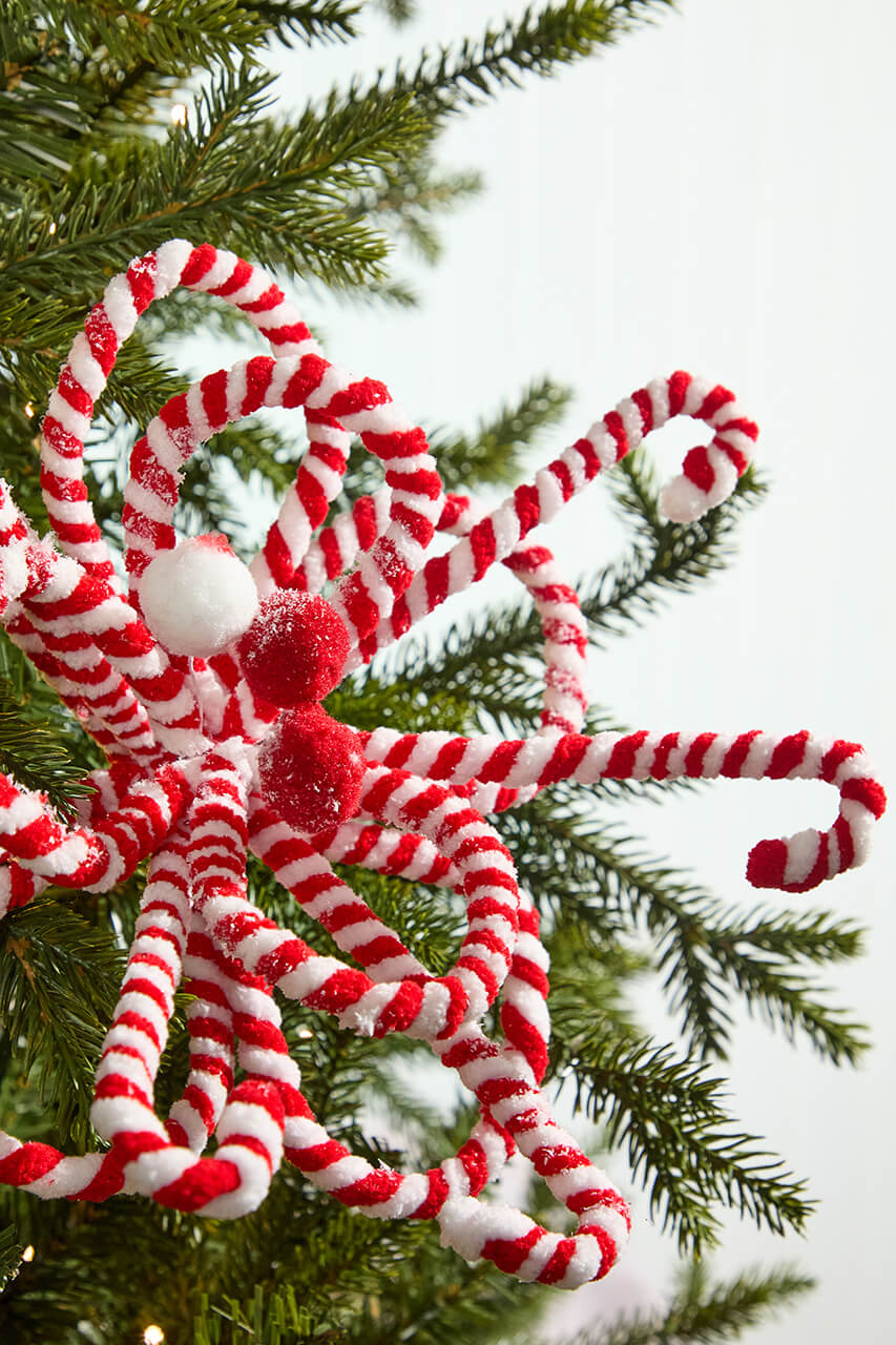 20" x 11" Peppermint Loop Poinsettia
