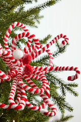 20" x 11" Peppermint Loop Poinsettia