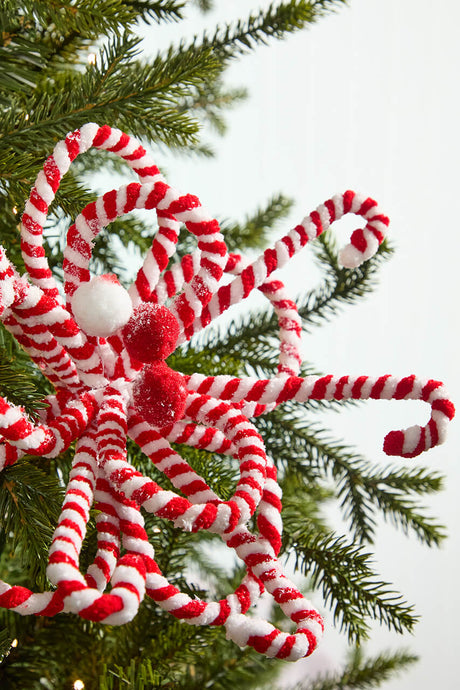 20" x 11" Peppermint Loop Poinsettia