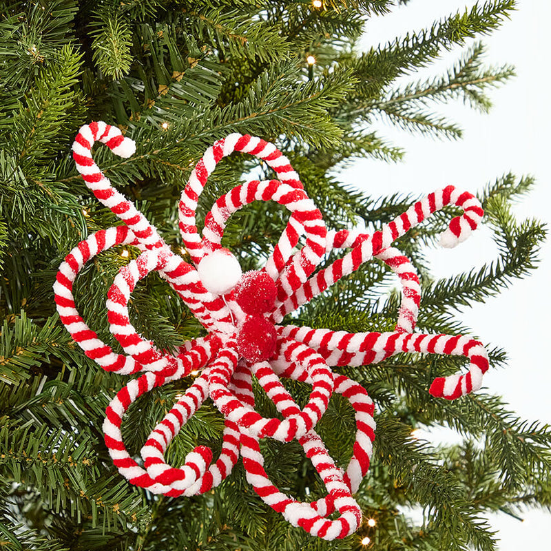 20" x 11" Peppermint Loop Poinsettia