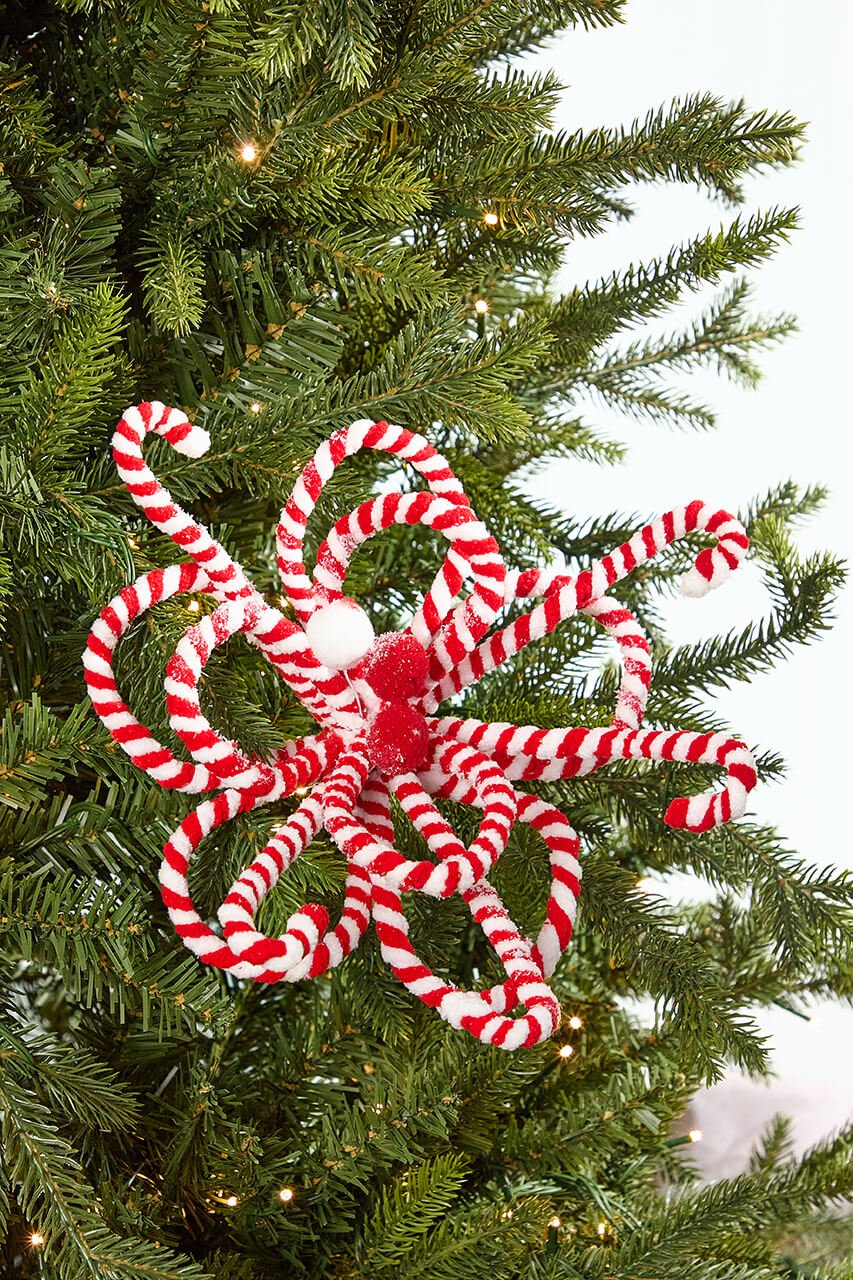 20" x 11" Peppermint Loop Poinsettia
