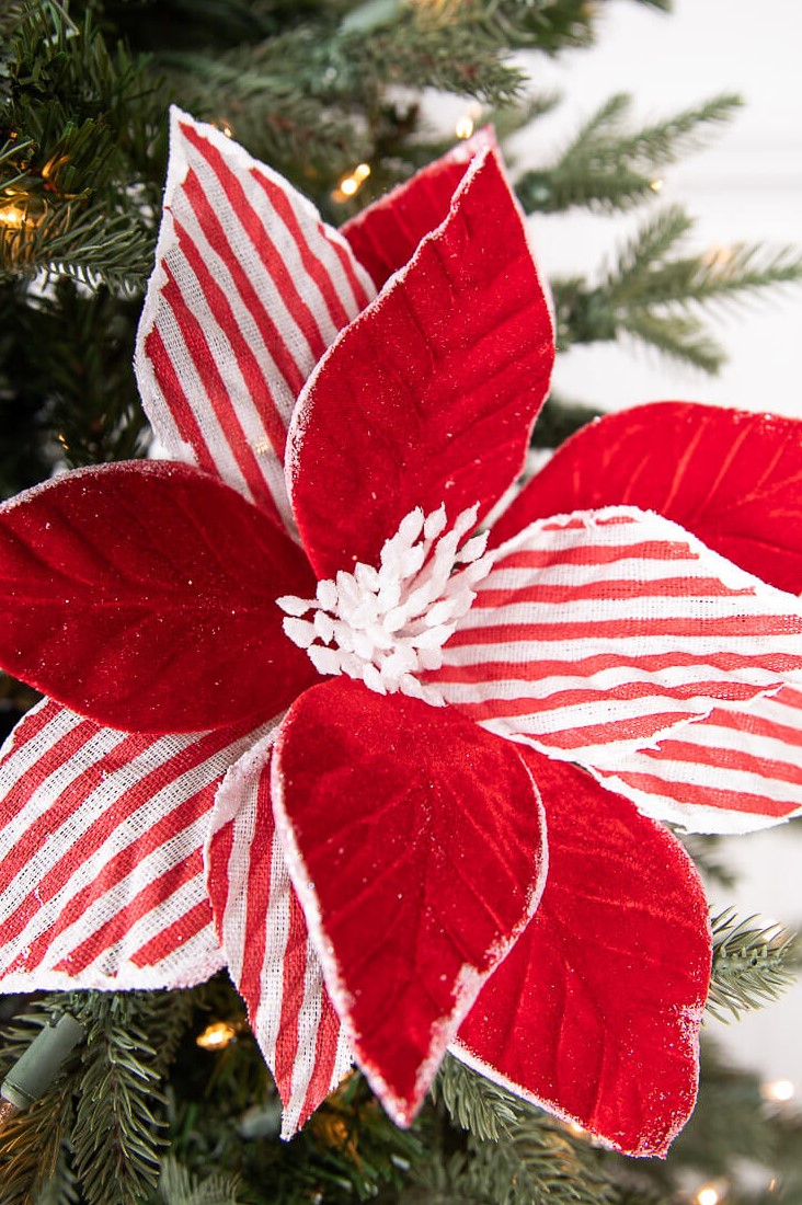 22” x 12" Red and White Poinsettia Stem