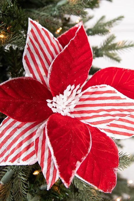 22” x 12" Red and White Poinsettia Stem