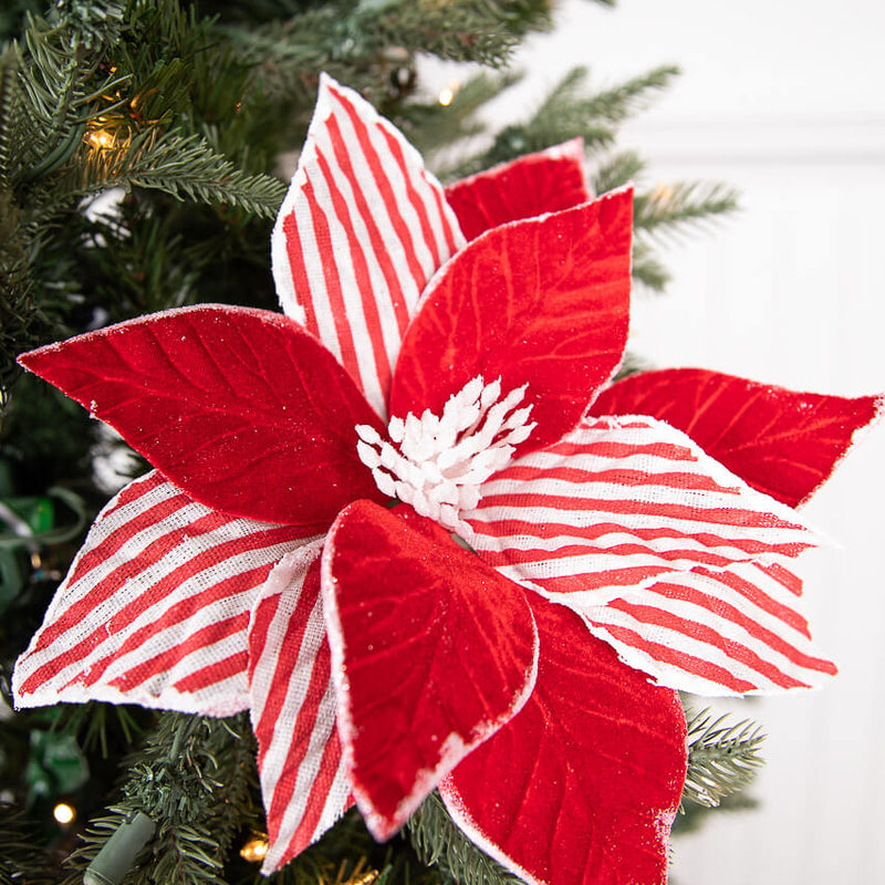 22” x 12" Red and White Poinsettia Stem
