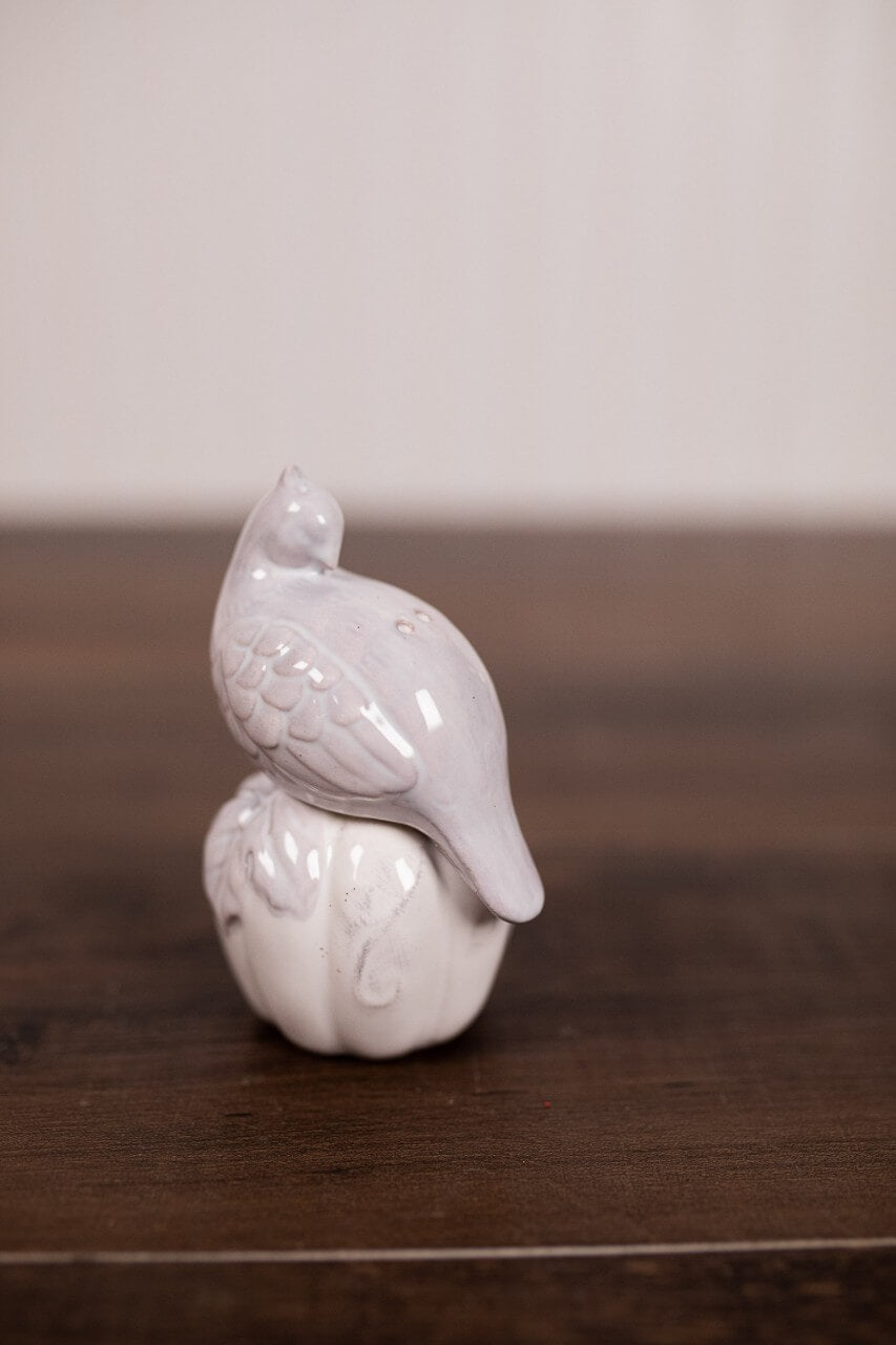 Pheasant Salt & Pepper Shakers - Set of 2