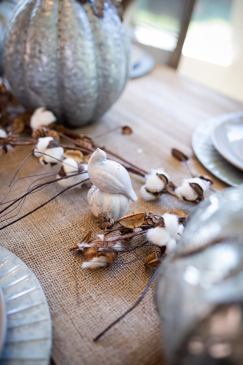 Pheasant Salt & Pepper Shakers - Set of 2