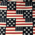 US Flag Allover Anti Pill Polar Fleece Fabric,
