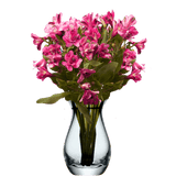 Hot Pink Alstroemeria Stems Flower Bouquets