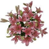 Charming Rose & Lily Fresh Flower Bouquet Elegant Floral Gift