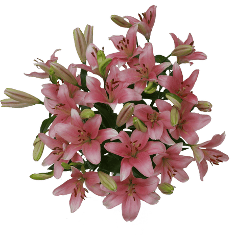 Charming Rose & Lily Fresh Flower Bouquet Elegant Floral Gift
