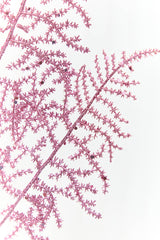 35" Pink Glitter Fern Spray