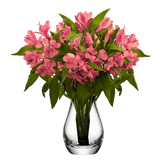 Pink Alstroemeria Stems – 30 Fresh Flower Bouquets