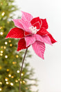 20" x 11.25" Red & Pink Poinsettia Stem