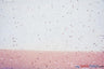 Tulle Glitter With Sequins Polyester Fabric - Glitter Embellished Sheer Tulle, Multiple Colors, 58/60" Width (1 Yard)