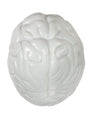 Brain Shape Stress Ball