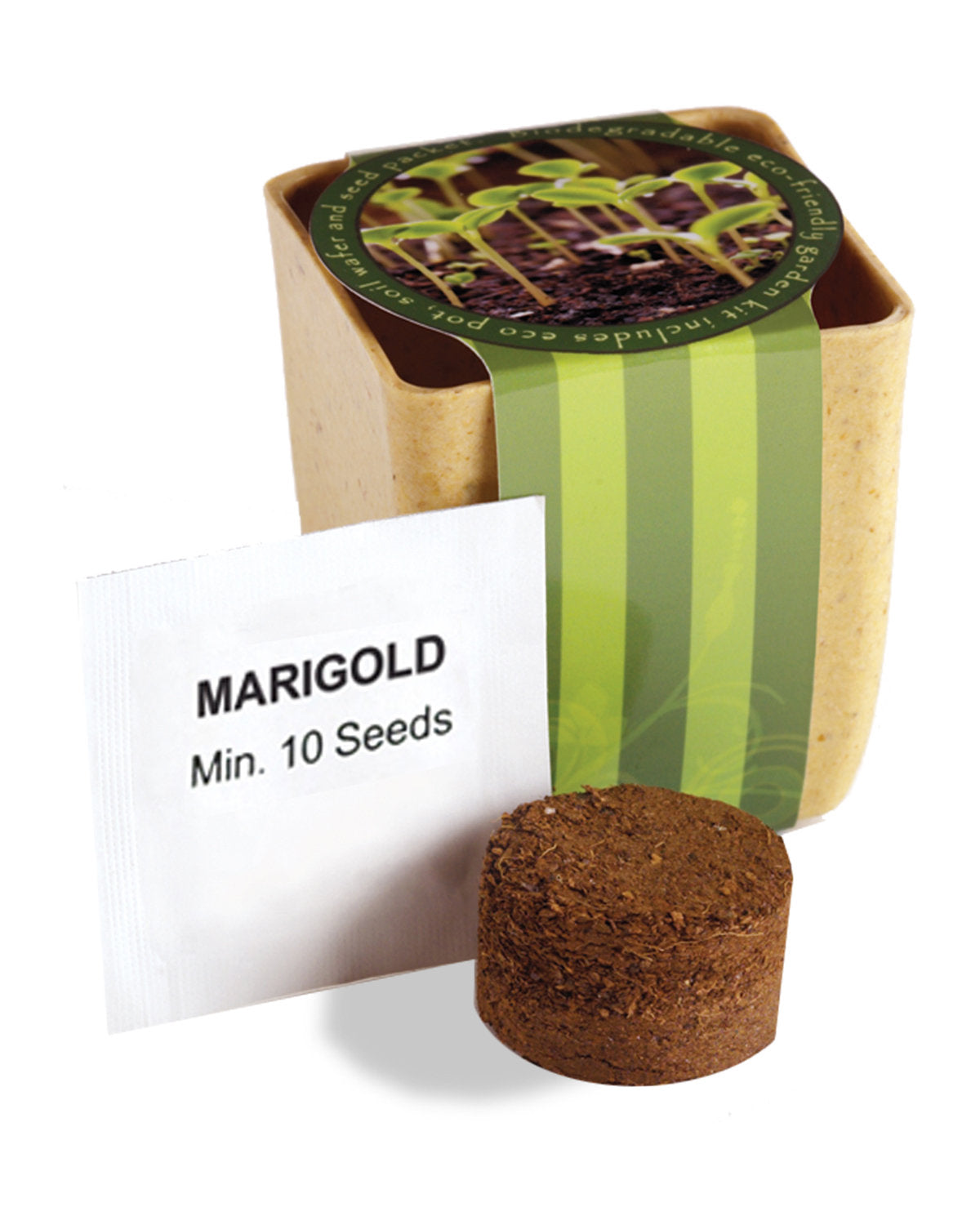 Flower Pot Set With Marigold Seeds