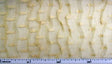 Pleated Raschel Lace Beige Polyester Fabric - Beige Pleated Lace, 54/55" Width
