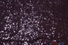 Glitz Mesh Sequins Polyester Fabric - 3Mm Glitter Sequins, 52" Width, Multiple Colors (1 Yard)