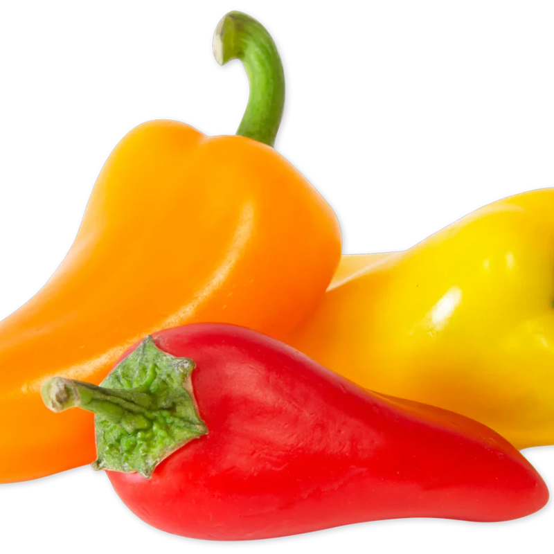 Organic Mini Sweet Peppers Colorful Snack & Cooking Peppers - 1 Lb