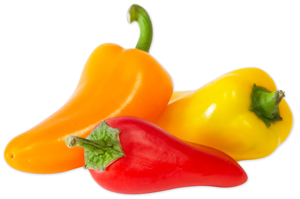 Organic Mini Sweet Peppers Colorful Snack & Cooking Peppers - 1 Lb