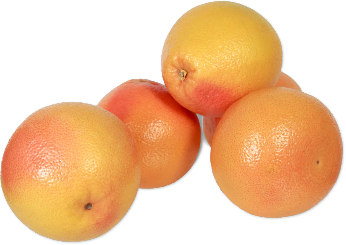 Grapefruit 5 lb Bag Fresh Juicy Citrus for Breakfast and Recipes