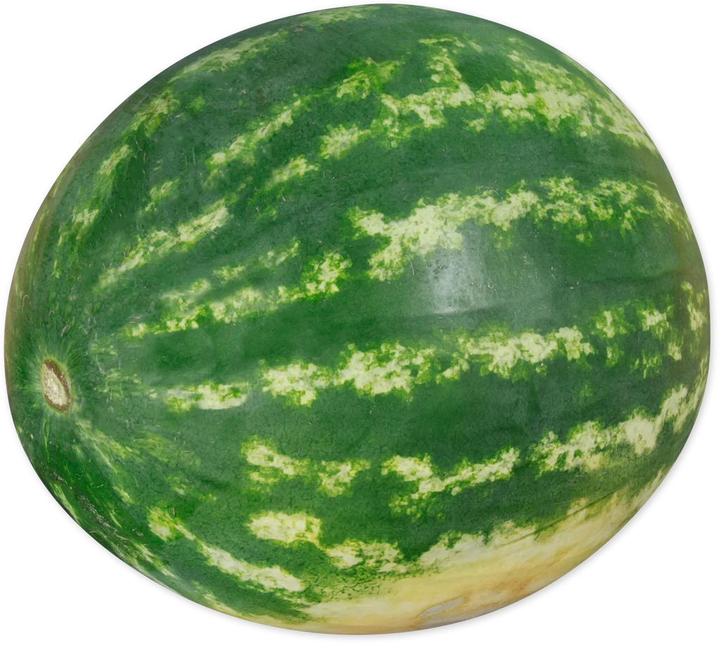 Seedless Watermelon Fresh Sweet Juicy Summer Fruit