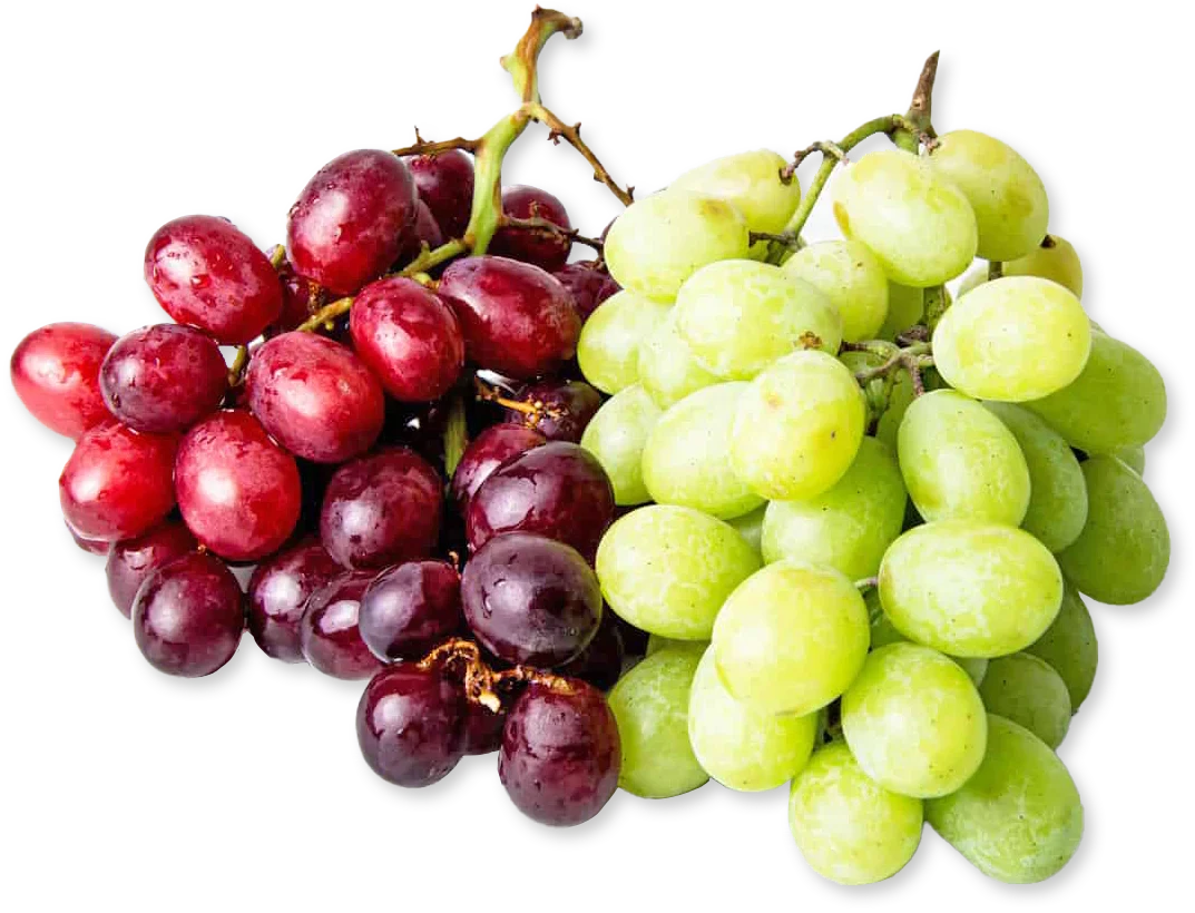 Red and Green Grapes Duo Fresh Sweet Crisp California Fruit