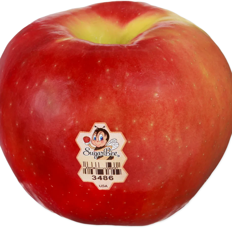 Sugar Bee Apple Fresh Crisp Sweet Apple with Honey Flavor for Snacks and Baking