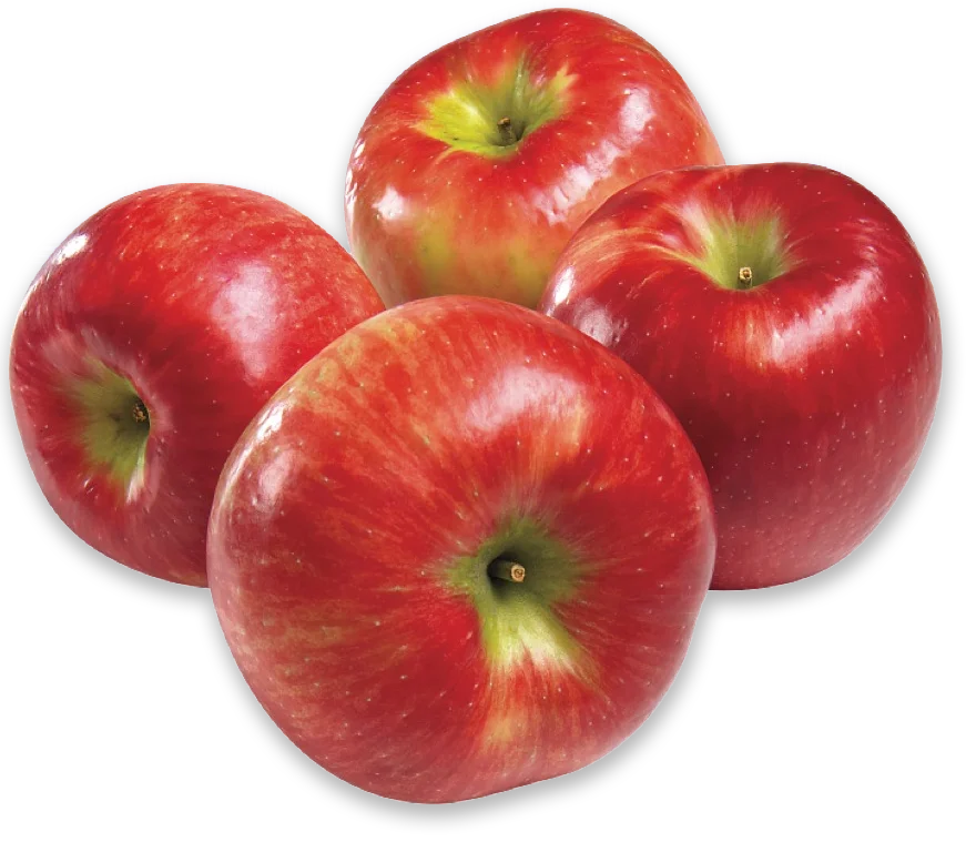 Honeycrisp Apples Fresh Crisp Sweet Apple for Snacks Baking and Pie Making