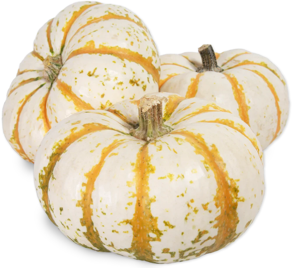 Lil’ Tiger Stripe Pumpkin Small Decorative Autumn Pumpkin for Decor and Serving - 1 Each
