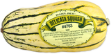 Fresh Delicata Squash Sweet Yellow-Green Winter Squash for Cooking and Roasting - 1 Each