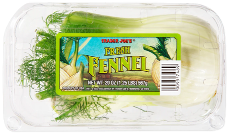 Fresh Fennel Aromatic Bulbs for Salads, Soups, Pasta, and Roasting - 20 Oz