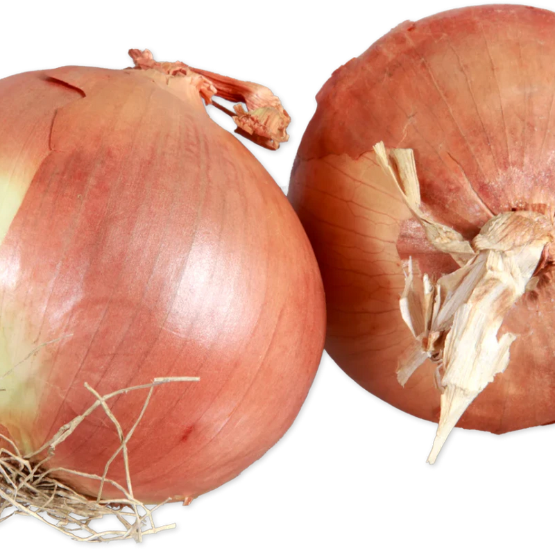 Jumbo Yellow Onions Fresh Large Cooking Onions for Roast Grill Saute - 1 Each