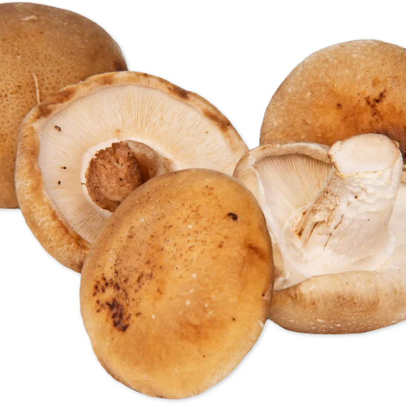 Shiitake Mushrooms Fresh Meaty Woodsy Flavor for Ramen Stir-Fry Pasta and Risotto - 4 Oz
