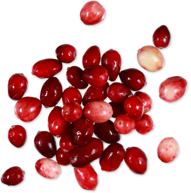 Organic Cranberries Fresh Tart Fruit for Baking Holiday Sauces and Recipes