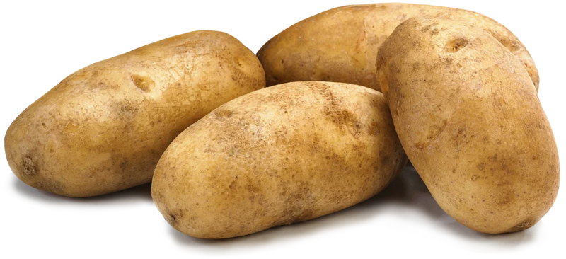 Fresh Russet Potatoes High Starch Baking Potatoes for Mash Fries and Recipes - 1 Each