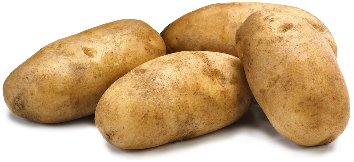 Fresh Russet Potatoes High Starch Baking Potatoes for Mash Fries and Recipes - 1 Each