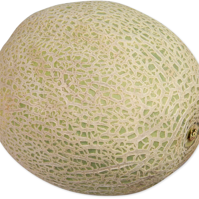 Cantaloupe Fresh Sweet Juicy Melon for Snacking, Salads, and Recipes