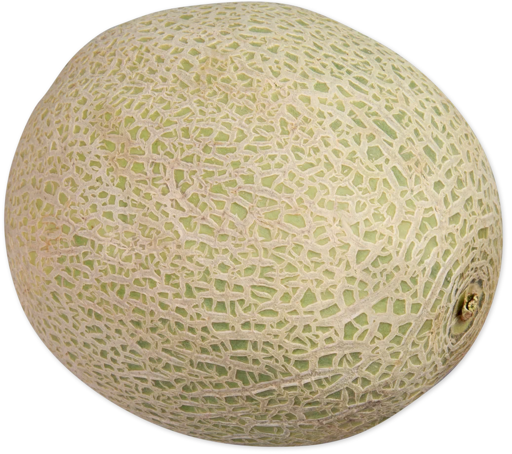 Cantaloupe Fresh Sweet Juicy Melon for Snacking, Salads, and Recipes