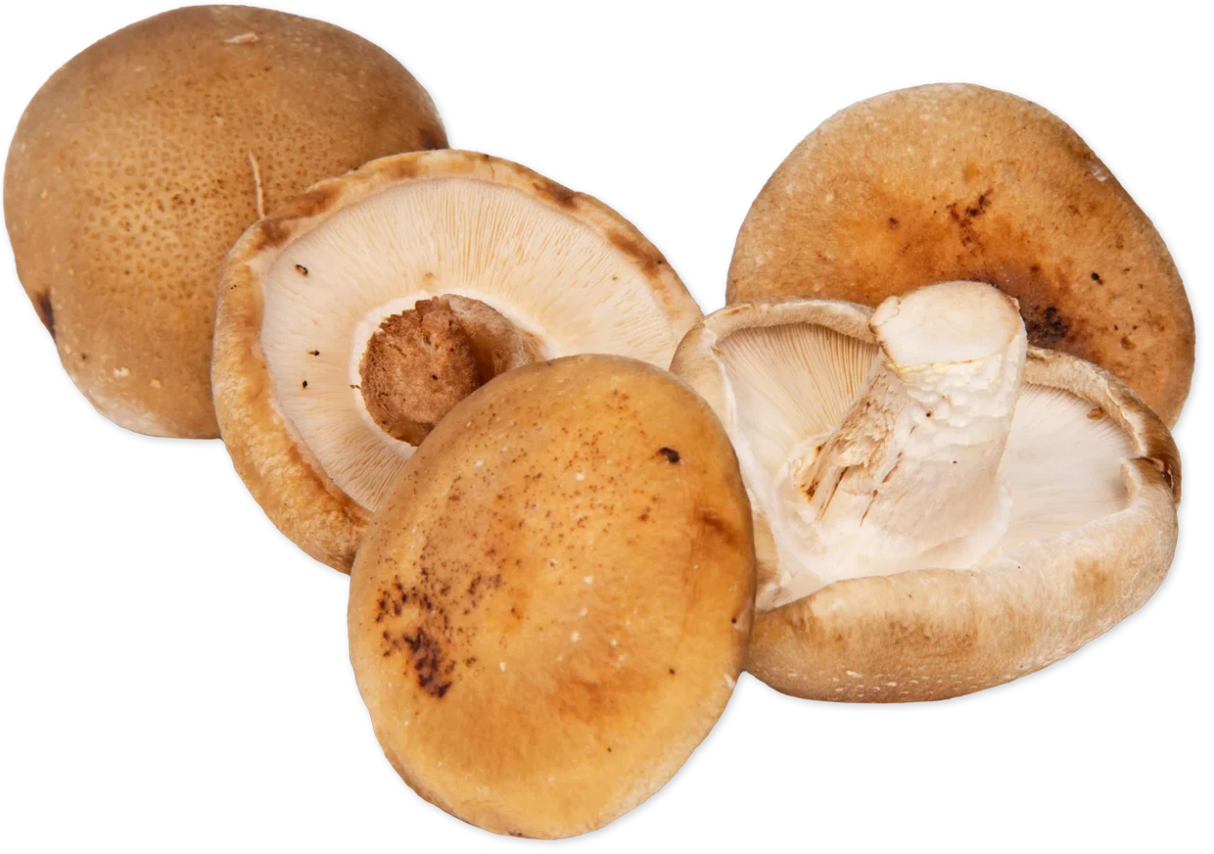 Shiitake Mushrooms Fresh Meaty Woodsy Flavor Ideal for Stir-Fries, Pasta, and Ramen - 3.5 Oz